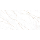 Neo Calacatta 120x60
