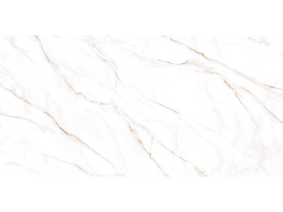 Neo Calacatta 120x60
