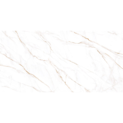 Neo Calacatta 120x60
