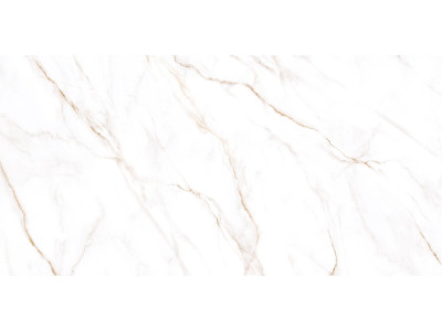 Neo Calacatta 120x60
