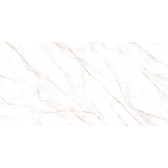Neo Calacatta 120x60
