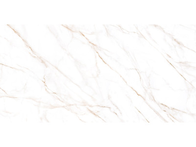 Neo Calacatta 120x60
