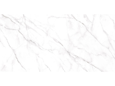 Neo Calacatta 120x60
