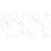 Neo Calacatta 120x60
