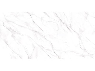 Neo Calacatta 120x60
