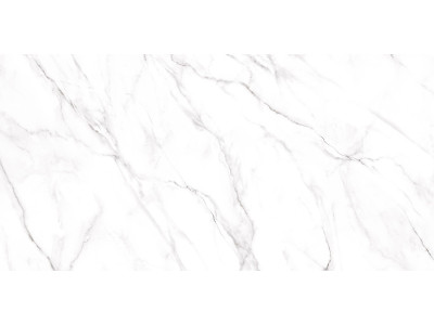 Neo Calacatta 120x60
