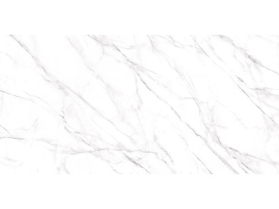 Neo Calacatta 120x60
