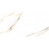 Nevada 50x24,9
