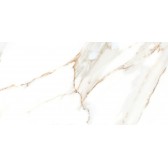 Nevada 50x24,9
