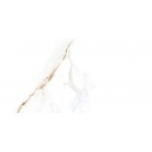 Nevada 50x24,9
