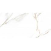 Nevada 50x24,9
