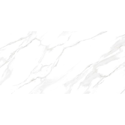 Nevada 114x57