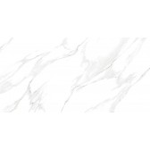 Nevada 114x57