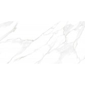 Nevada 114x57