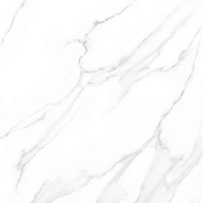 Nevada 60x60