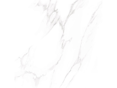 Nevada 60x60