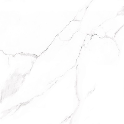 Nevada 60x60