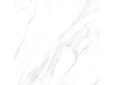 Nevada 60x60