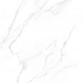 Nevada 60x60