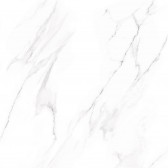 Nevada 60x60