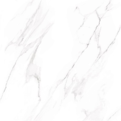 Nevada 60x60