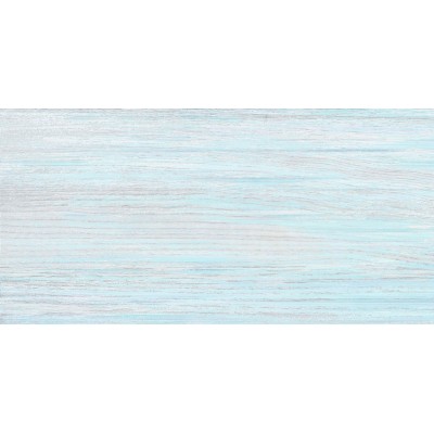 North 50x24,9
