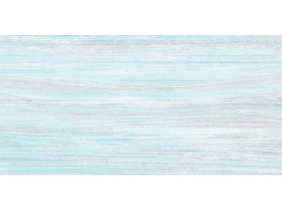 North 50x24,9
