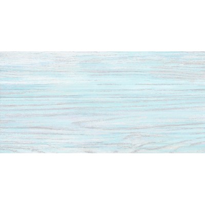North 50x24,9
