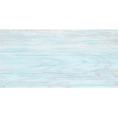 North 50x24,9
