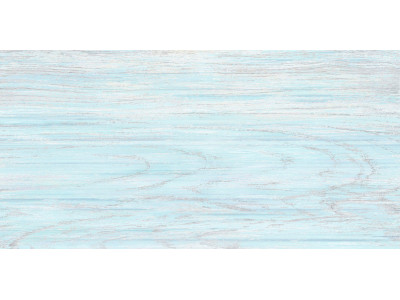 North 50x24,9
