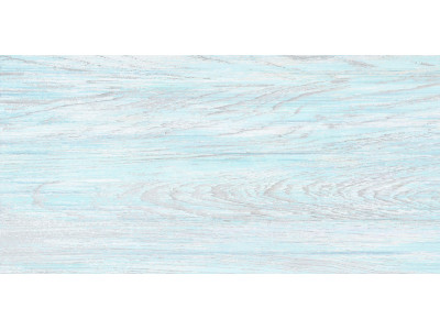 North 50x24,9
