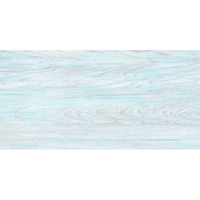 North 50x24,9
