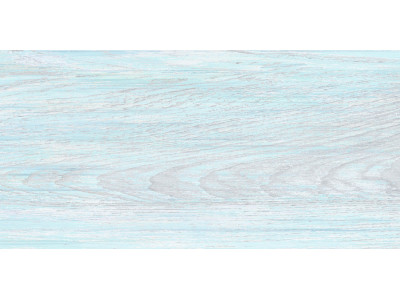 North 50x24,9
