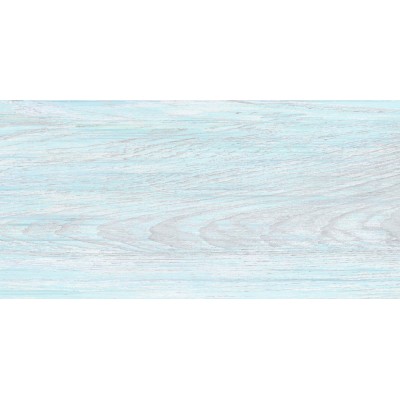 North 50x24,9
