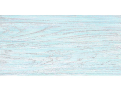 North 50x24,9
