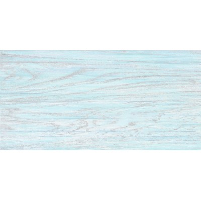 North 50x24,9
