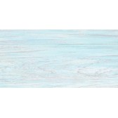 North 50x24,9
