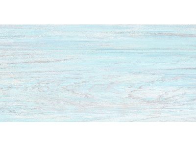 North 50x24,9
