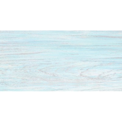 North 50x24,9
