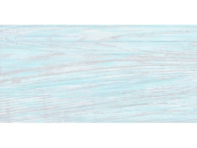 North 50x24,9
