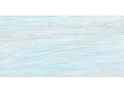 North 50x24,9
