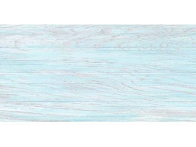 North 50x24,9
