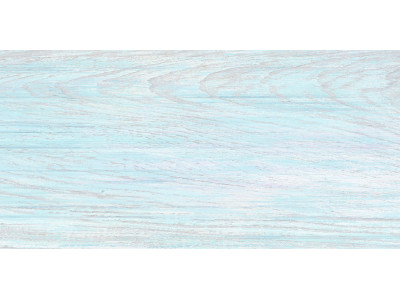 North 50x24,9
