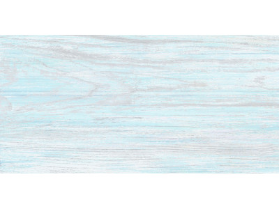 North 50x24,9

