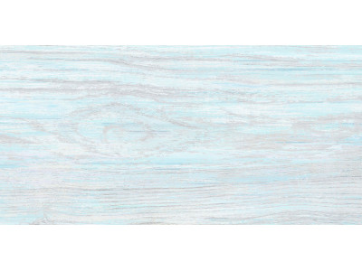North 50x24,9
