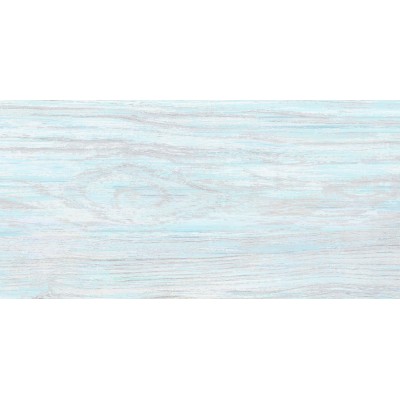 North 50x24,9
