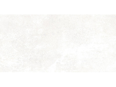 Piemonte 50x24,9
