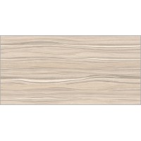 Плитка настенная Plesso 50x24,9
