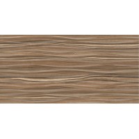 Плитка настенная Plesso 50x24,9
