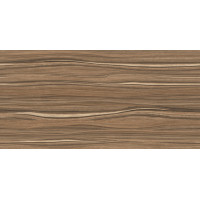 Плитка настенная Plesso 50x24,9
